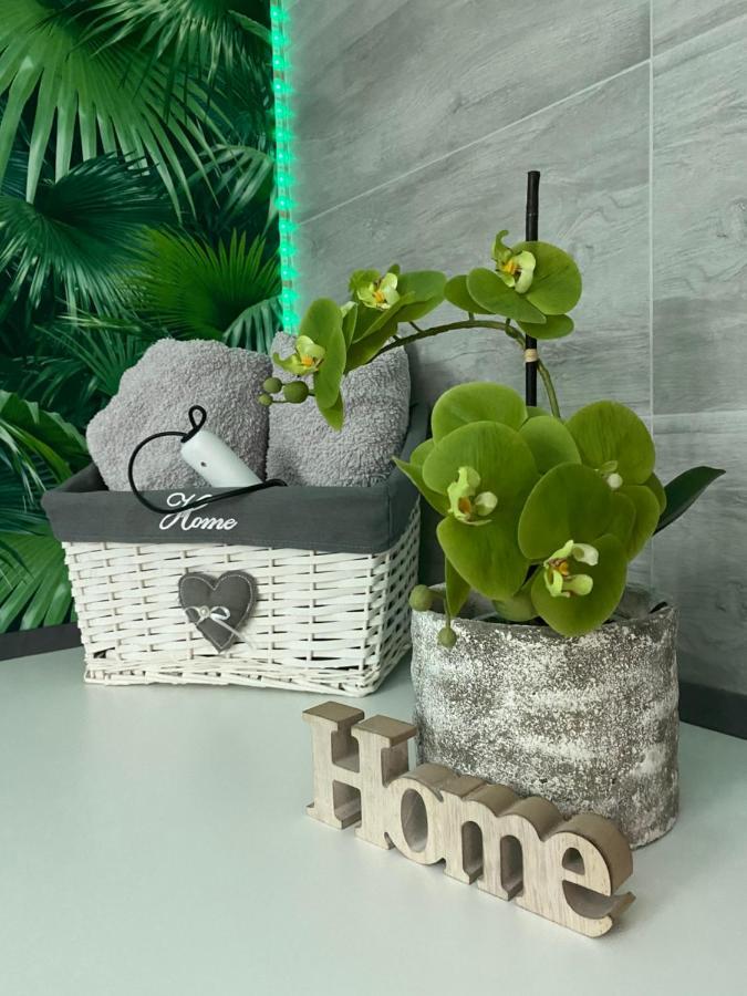 Ferienwohnung Erfurter Rose Kültér fotó